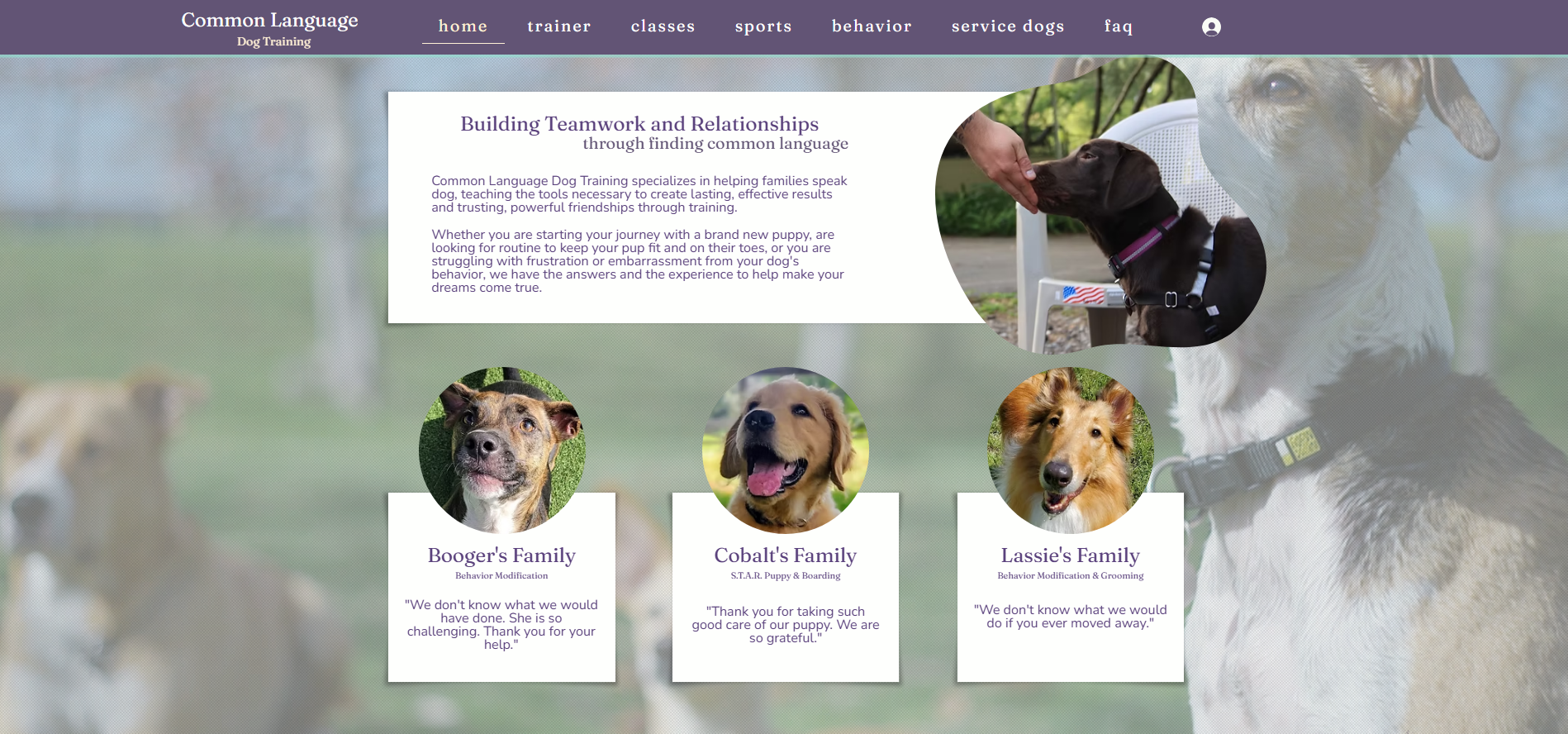 Common Language Dog Training splash screenshot.