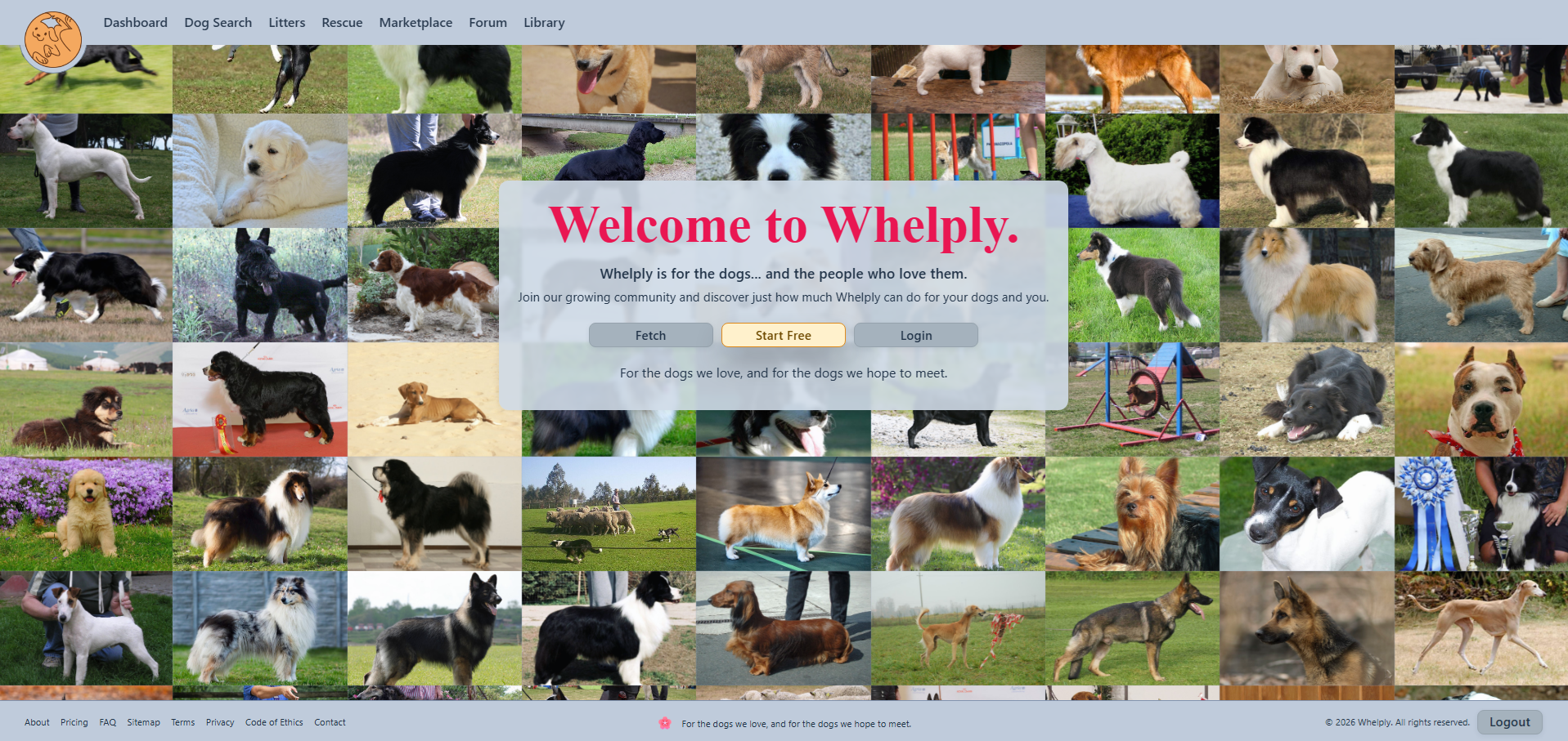 Whelply splash screenshot.